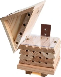 Wildlife World Bijenkorf Flip-Top 17 X 16 X 18 Cm -SuperFish || TETRA || Beeztees Verkoopwinkel 0679505020846 4