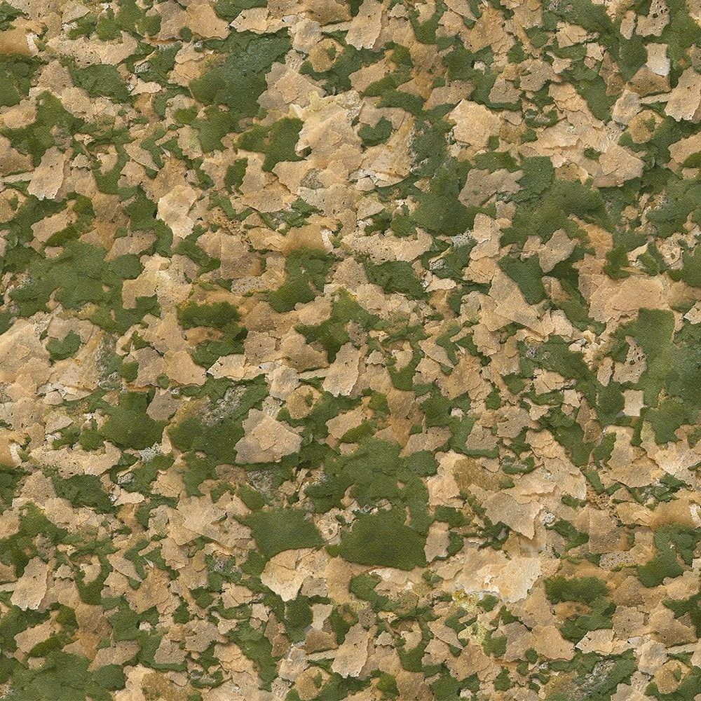 Sera Visvoer Vipan Nature Grote Vlok 1 L 4 Sera Visvoer Vipan Nature Grote Vlok 1 L - Afbeelding 2