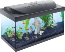 Tetra Aquarium Starter Line LED 54 L