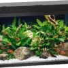 Juwel Aquarium Primo 110 LED Zwart 82 X 37 X 41,5 Cm -SuperFish || TETRA || Beeztees Verkoopwinkel 4022573253801 1