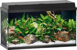 Juwel Aquarium Primo 110 LED Zwart 82 X 37 X 41,5 Cm
