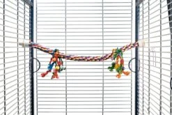 Beeztees Vogelspeelgoed Papegaaien Zitstok 80 X 3 Cm