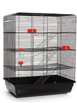Beeztees Knaagdier Kooi Remy Zwart 58 X 38 X 71 Cm