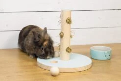 Beeztees Knaagdierenspeelgoed Hayra Mint D 30 H 30 Cm 7 Beeztees Knaagdierenspeelgoed Hayra Mint D 30 H 30 Cm -SuperFish || TETRA || Beeztees Verkoopwinkel 8712695176879 3