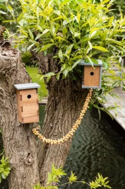 Voorkant -SuperFish || TETRA || Beeztees Verkoopwinkel 8714982145988 2