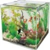 SuperFish Aquarium QubiQ 30 Wit 30 L -SuperFish || TETRA || Beeztees Verkoopwinkel 8715897038976 1