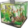 SuperFish Aquarium QubiQ 30 Zwart 30 L -SuperFish || TETRA || Beeztees Verkoopwinkel 8715897039041 1
