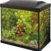 SuperFish Aquarium Start 30 Tropical Kit Zwart 25 L -SuperFish || TETRA || Beeztees Verkoopwinkel 8715897158650 1