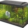 SuperFish Aquarium Start 70 Tropical Kit Zwart 60 L -SuperFish || TETRA || Beeztees Verkoopwinkel 8715897165917 1