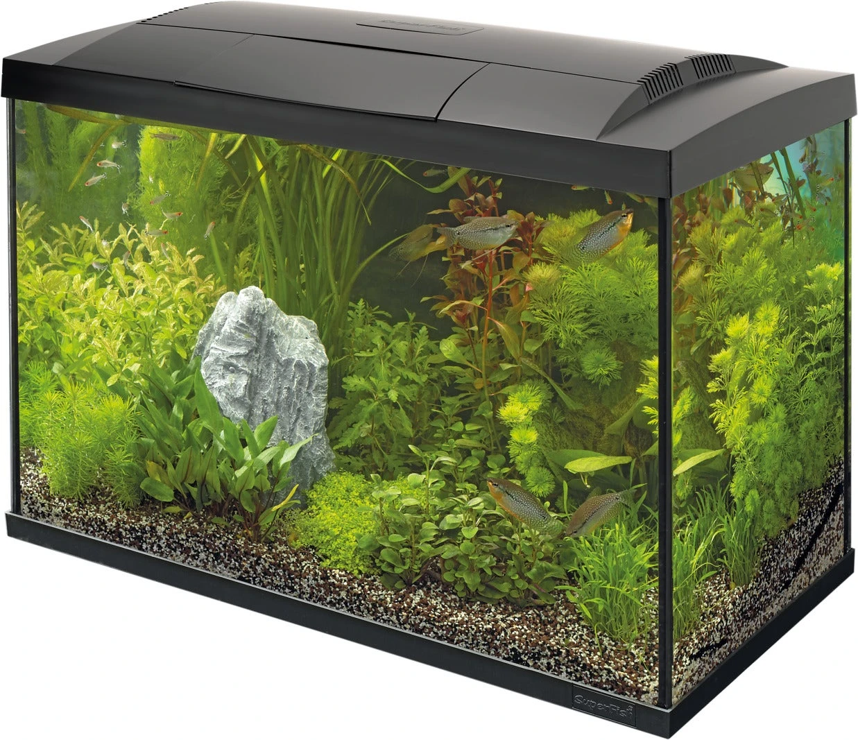 SuperFish Aquarium Start 100 Tropical Kit Zwart 100 L 3 SuperFish Aquarium Start 100 Tropical Kit Zwart 100 L