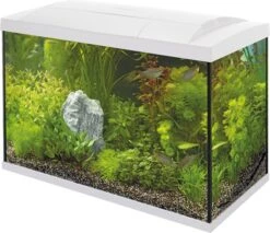 SuperFish Aquarium Start 100 Tropical Kit Wit 100 L