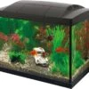 Superfish Aquarium Start 20 Goldfish Kit Zwart 20 L 1 Superfish Aquarium Start 20 Goldfish Kit Zwart 20 L -SuperFish || TETRA || Beeztees Verkoopwinkel 8715897190766 1