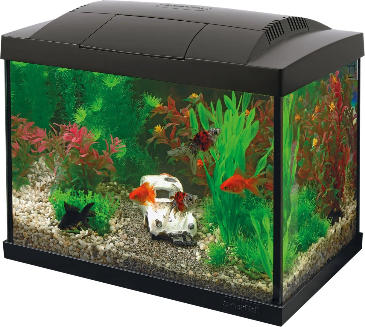 Superfish Aquarium Start 20 Goldfish Kit Zwart 20 L 3 Superfish Aquarium Start 20 Goldfish Kit Zwart 20 L
