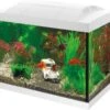 SuperFish Aquarium Start 20 Goldfish Kit Wit 20 L 2 SuperFish Aquarium Start 20 Goldfish Kit Wit 20 L -SuperFish || TETRA || Beeztees Verkoopwinkel 8715897190773 1
