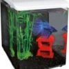 SuperFish Aquarium Home 8 Wit 8 L -SuperFish || TETRA || Beeztees Verkoopwinkel 8715897221781 1