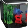 SuperFish Aquarium Home 8 Zwart 8 L -SuperFish || TETRA || Beeztees Verkoopwinkel 8715897221798 1