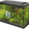 SuperFish Aquarium Start 150 Tropical Kit Zwart 146 L -SuperFish || TETRA || Beeztees Verkoopwinkel 8715897312434 0