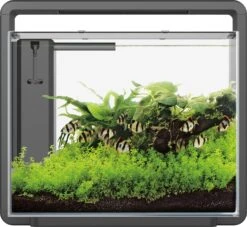 SuperFish Aquarium Home 45 Zwart 40 L