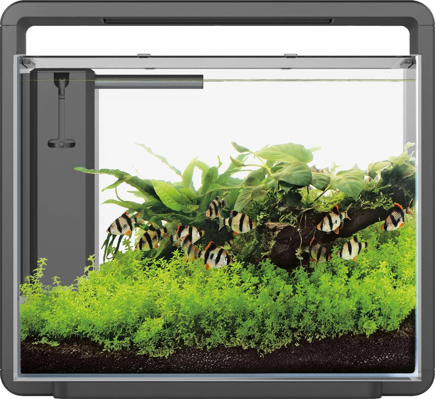 SuperFish Aquarium Home 45 Zwart 40 L 3 SuperFish Aquarium Home 45 Zwart 40 L