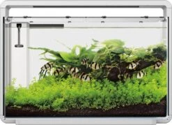 SuperFish Aquarium Home 65 Wit 60 L