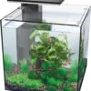 SuperFish Aquarium QubiQ 30 Pro Zwart 30 L 2 SuperFish Aquarium QubiQ 30 Pro Zwart 30 L -SuperFish || TETRA || Beeztees Verkoopwinkel 8715897314674 1