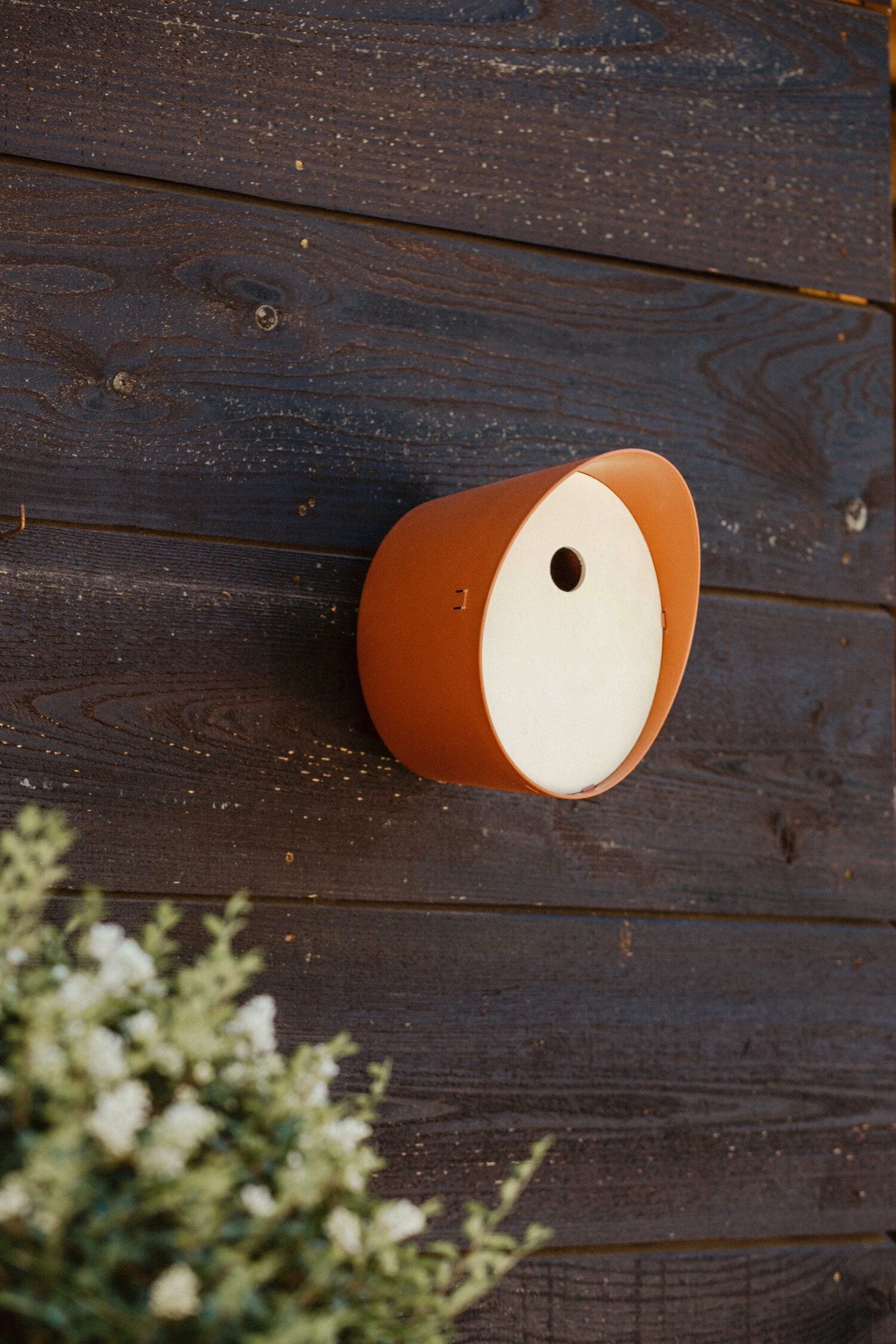 Capi Europe Vogelhuisje Bruin 24 X 19 X 23 Cm 4 Capi Europe Vogelhuisje Bruin 24 X 19 X 23 Cm - Afbeelding 2