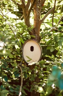 Voorkant -SuperFish || TETRA || Beeztees Verkoopwinkel 8716443092787 2