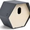 Capi Europe Vogelhuis Hive Ovaal Antraciet 19 X 22 X 20 Cm -SuperFish || TETRA || Beeztees Verkoopwinkel 8716443107245 0 1