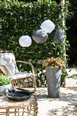 Intratuin Vogel Voeder- En Drinkschaal Emmy Donkergrijs D 32 Cm 6 Intratuin Vogel Voeder- En Drinkschaal Emmy Donkergrijs D 32 Cm -SuperFish || TETRA || Beeztees Verkoopwinkel 8717263801412 1 1