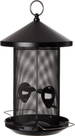 Intratuin Pindasilo Zwart D 19 H 28,5 Cm