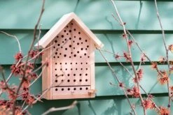 Intratuin Insectenhuis Naturel 23 X 11 X 30 Cm -SuperFish || TETRA || Beeztees Verkoopwinkel 8720196051830 1 1