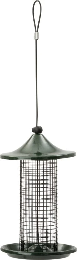 Intratuin Pindasilo Deluxe Groen D 13 H 21 Cm