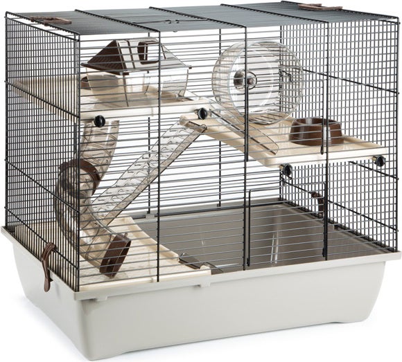 Voorkant -SuperFish || TETRA || Beeztees Verkoopwinkel 8712695156482 1